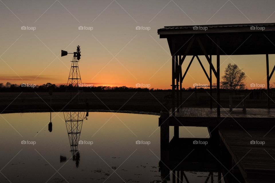 My favorite view in my backyard