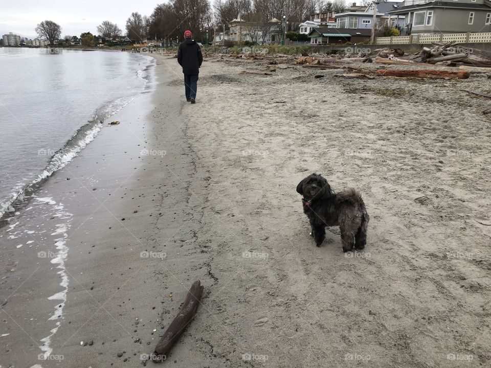 Walk on a sandy beach