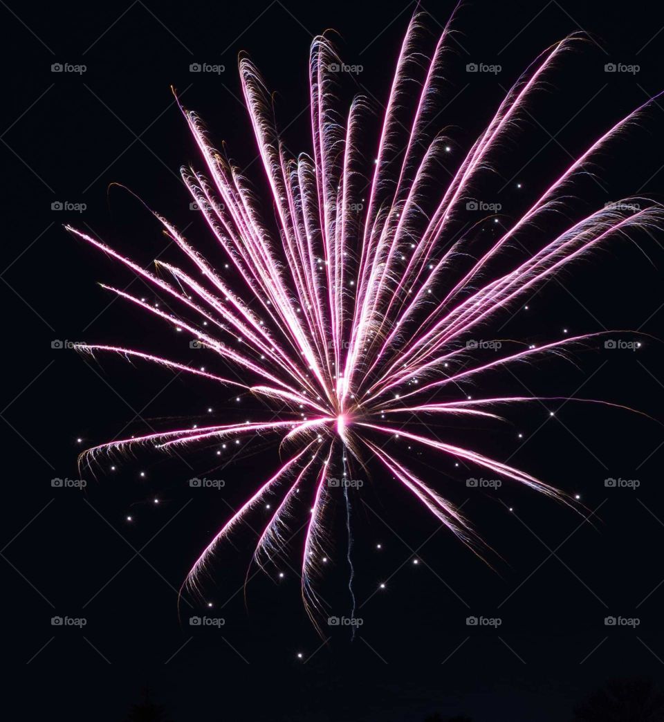 splash of bright pink and white colors as  fireworks burst against a black background