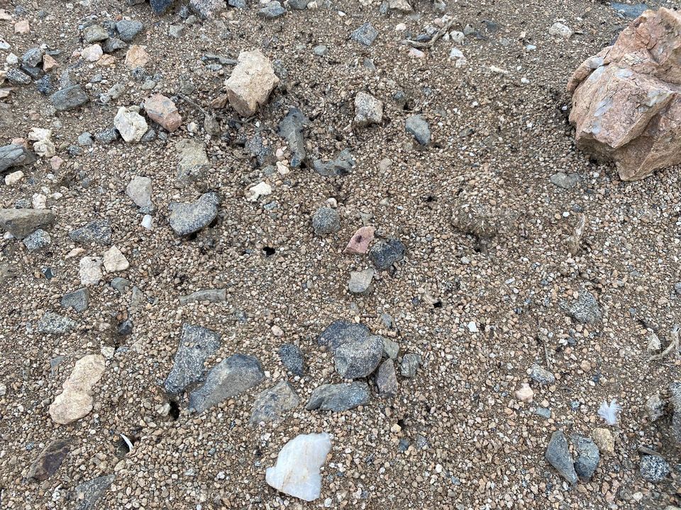 in the beloved land of taif 