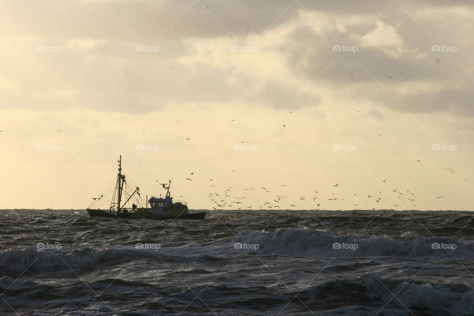 Sea, Ocean, Water, Beach, Storm