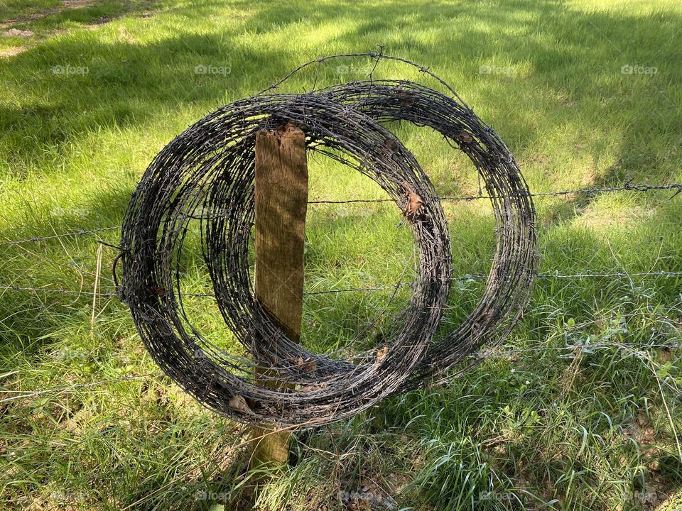Barbed wire 