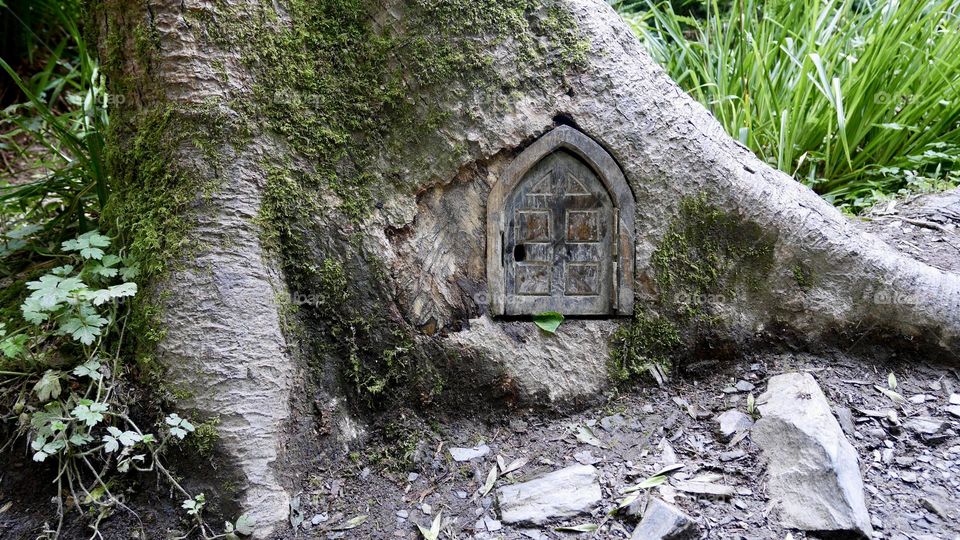 Fairy house door in an old tree trunk in the magic forest