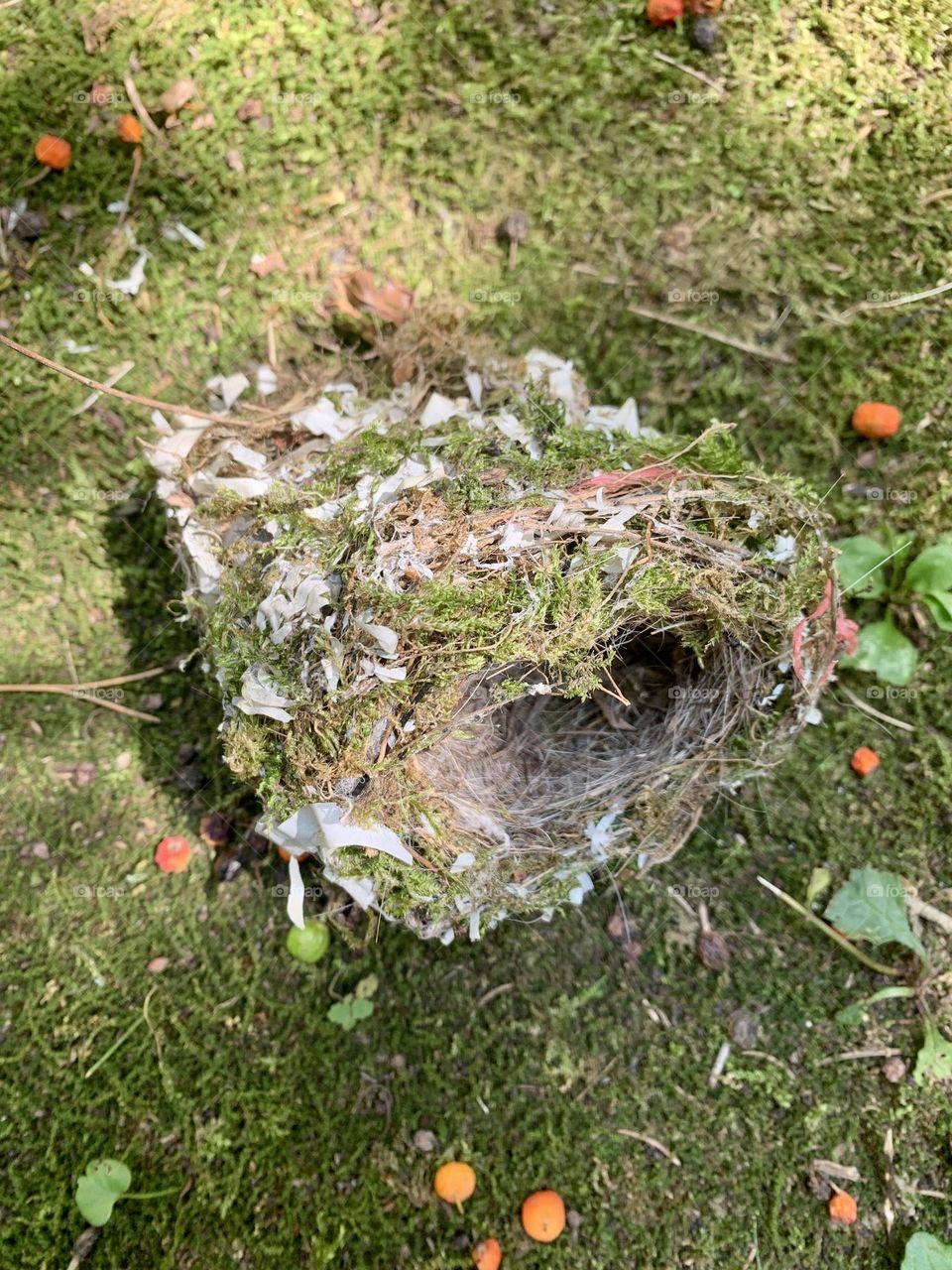an abandoned bird's nest built with twigs together with bits of plastic