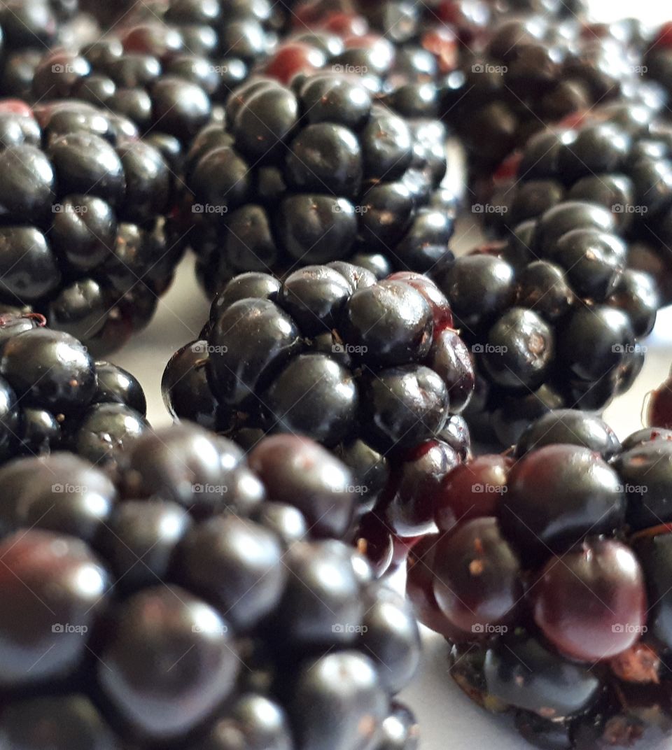 Blackberries in close up