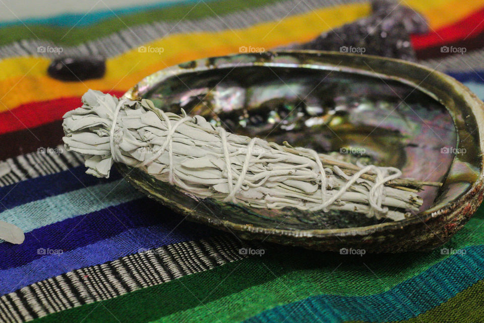 White Sage and Lavender sitting in an Abalone shell.