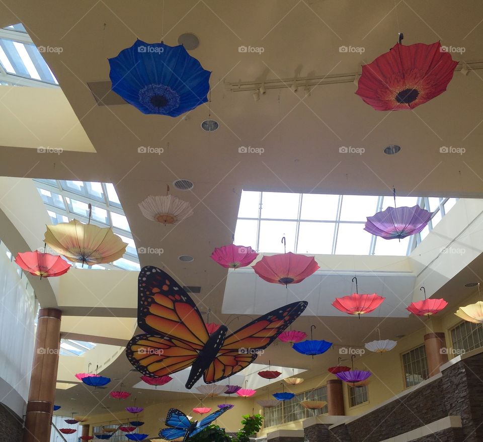 Sky light , umbrellas, butterflies and more 