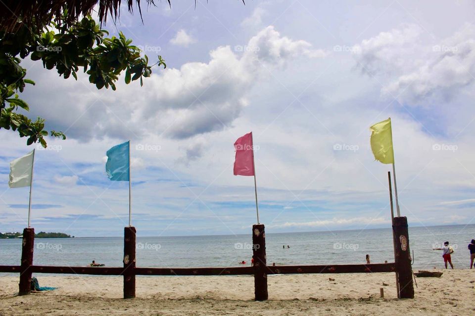 Beach flags