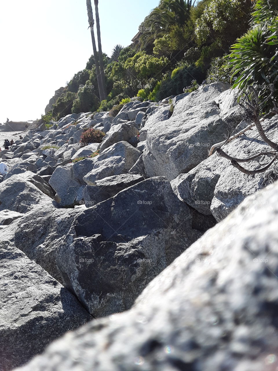 naturally solid rock