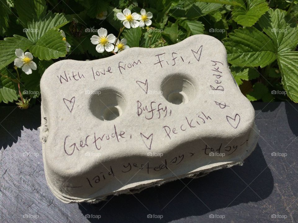 Free Range personalised eggs