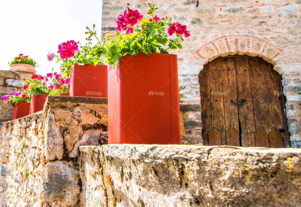 Flowering pots arranged in a row