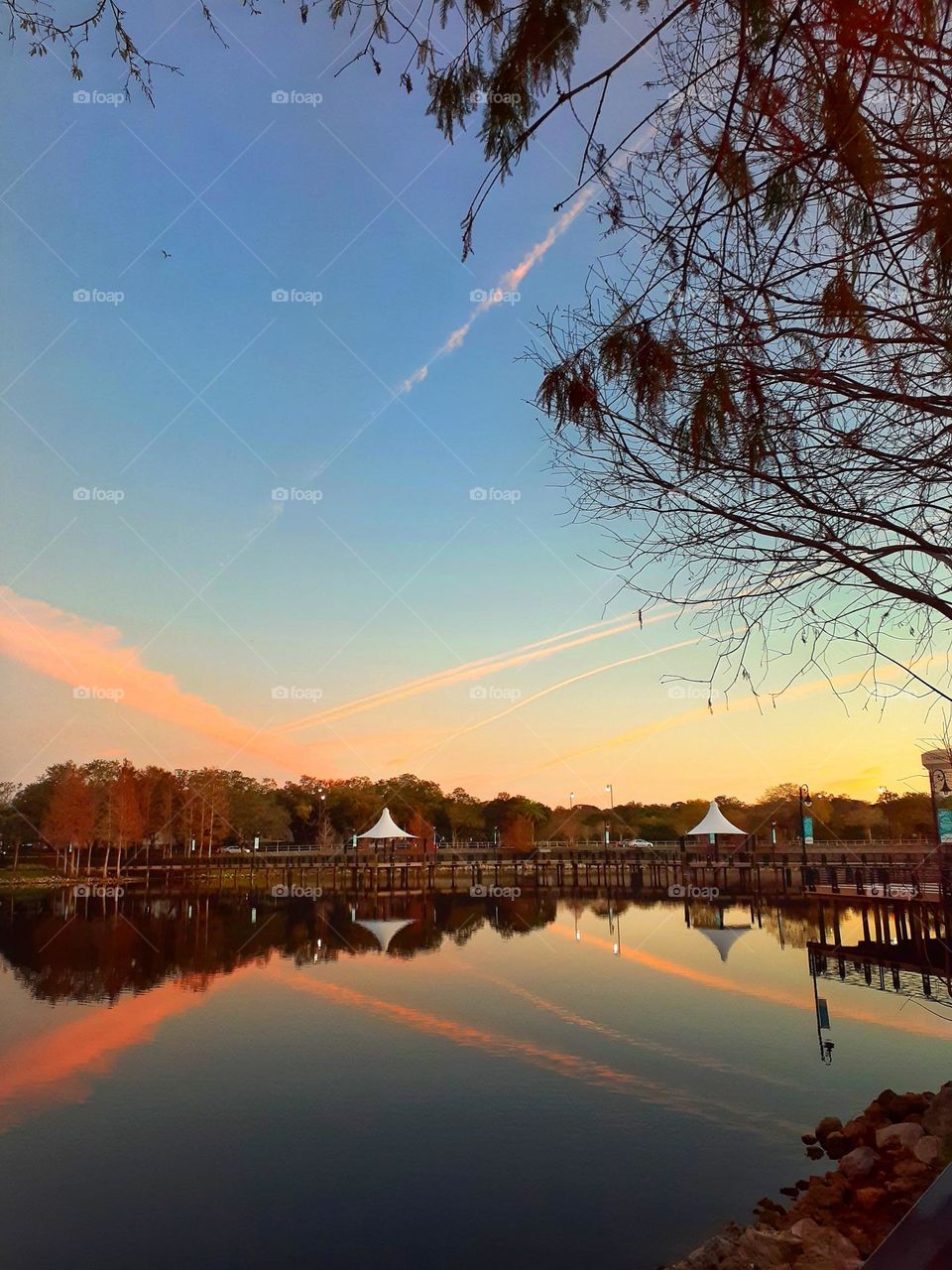 A beautiful sunrise this morning with streaks of pink at Cranes Roost Park in Altamonte Springs, Florida.