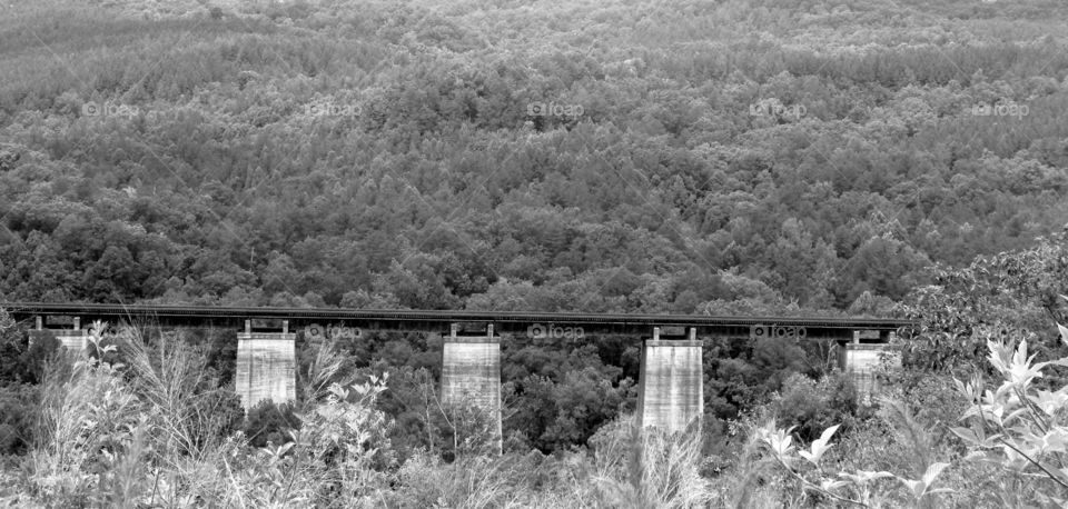 Long mountain train trestle in North Georgia