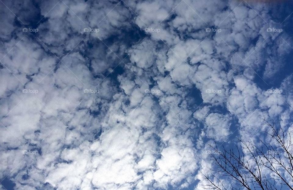 Fluff Clouds