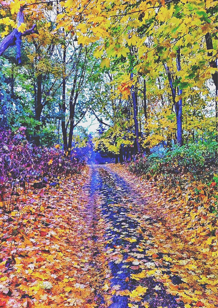 New England Autumn.... 