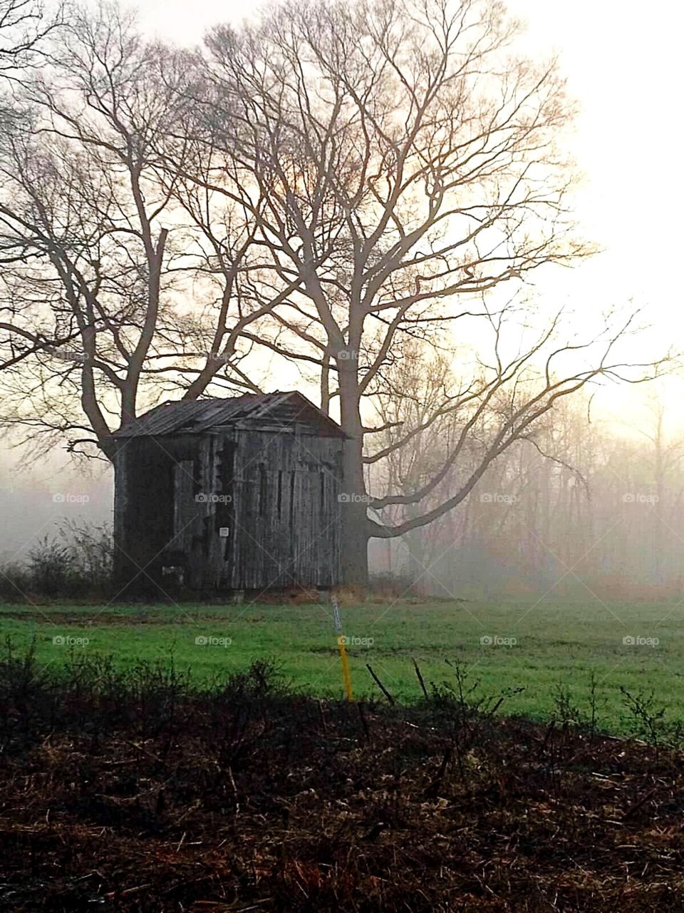 Foggy field abandoned building 