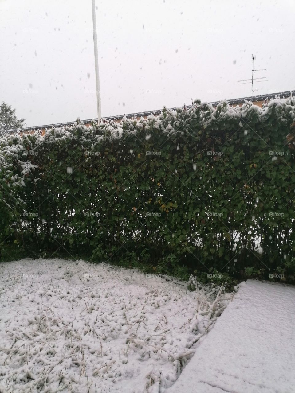 The first snow fell in Tornio, Lapland, Finland 14.09.2021. That is not usual.