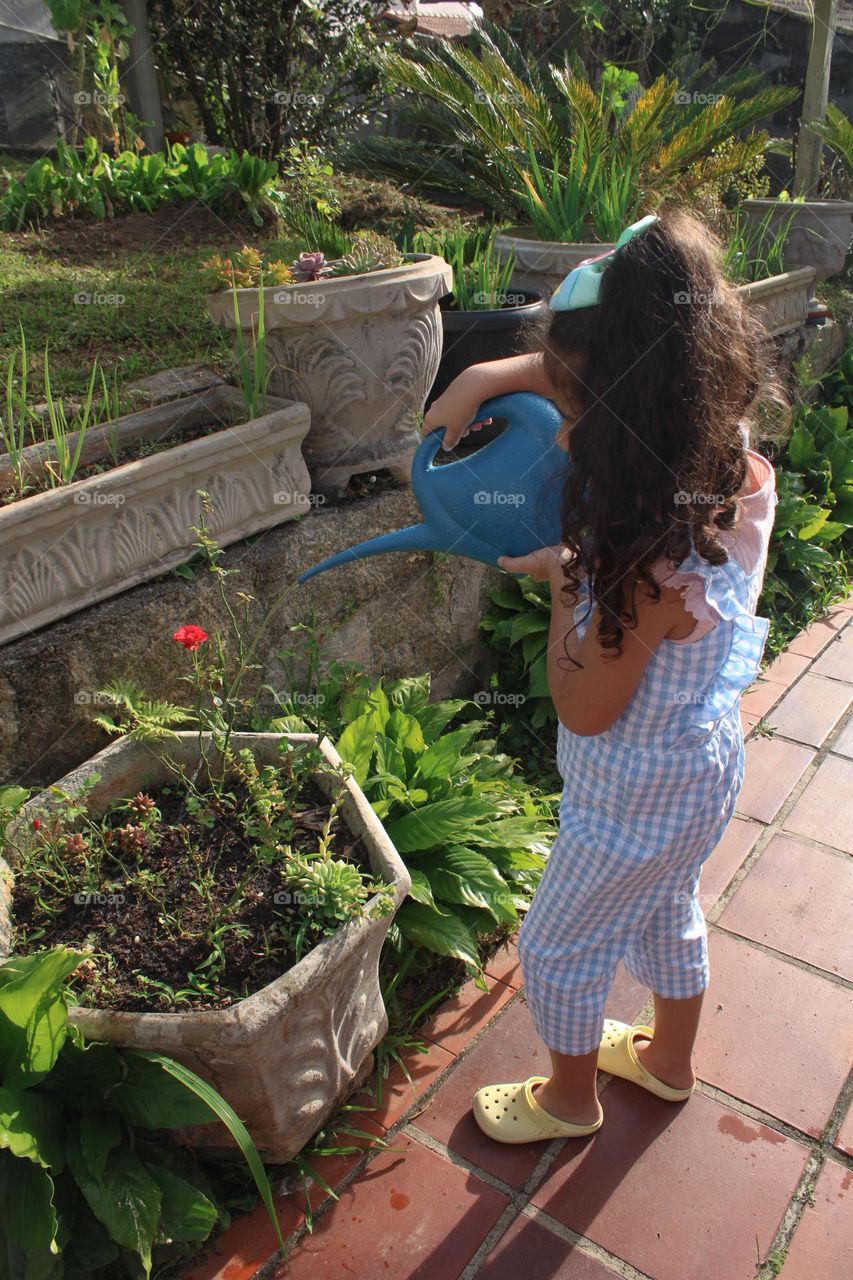 Watering the plants