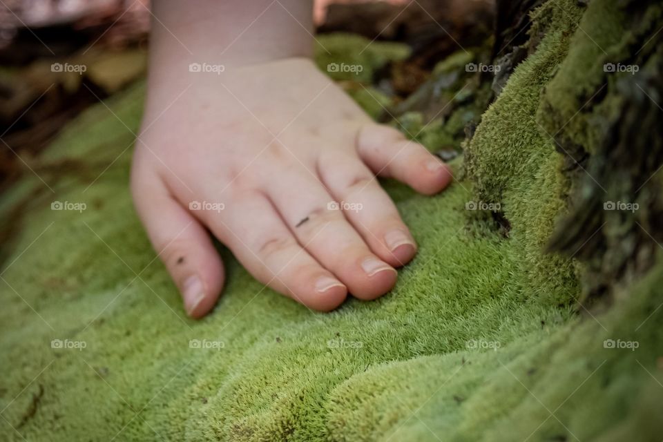 I love to witness my little girls experience new sights, sounds, smells, and textures out in nature, such as what feels to be the softest moss in the world. 