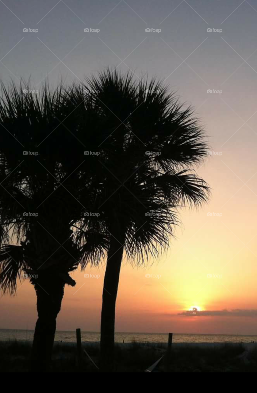 Beach sunset. Taken on Vacation in Florida.
