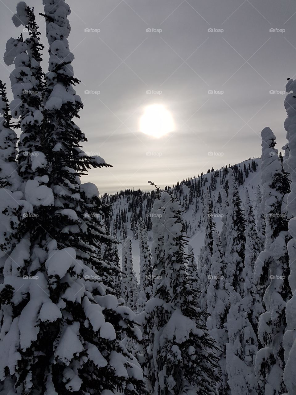 Sun behind the clouds on a snowy mountain, Big White, Canada