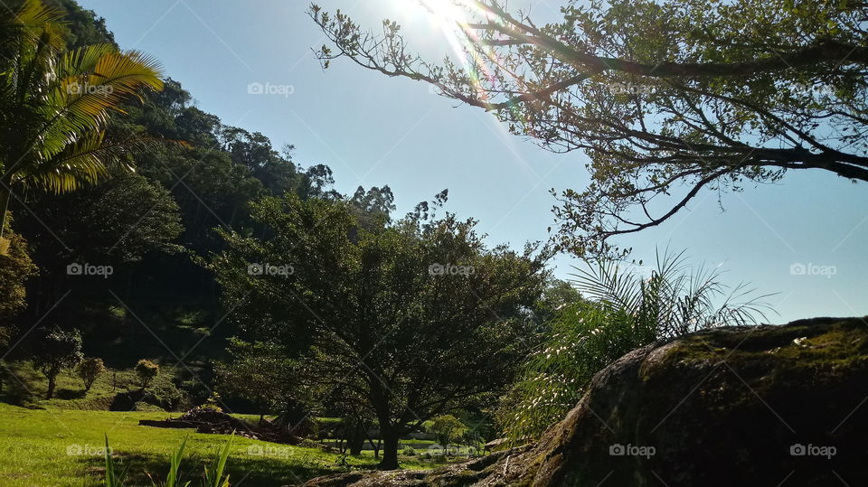 Табиғат, жақсы ауа, сұлу жер, күн сәулесі, бақ, жолдар мен өсімдіктер.