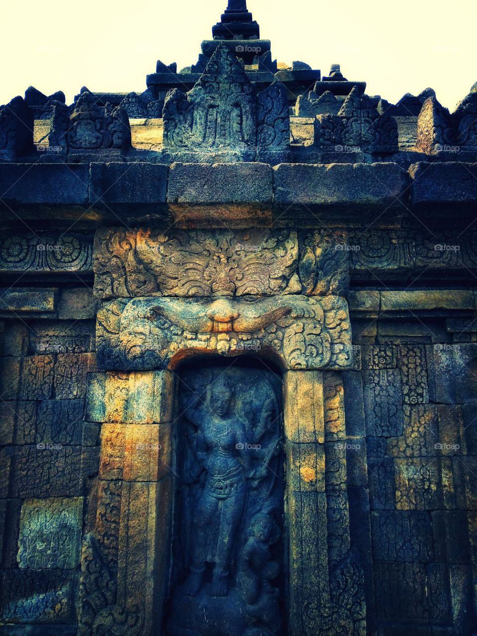 show us your best photos