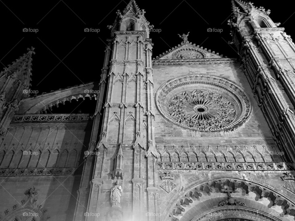 catedral palma de mallorca