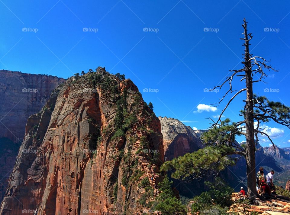 zion