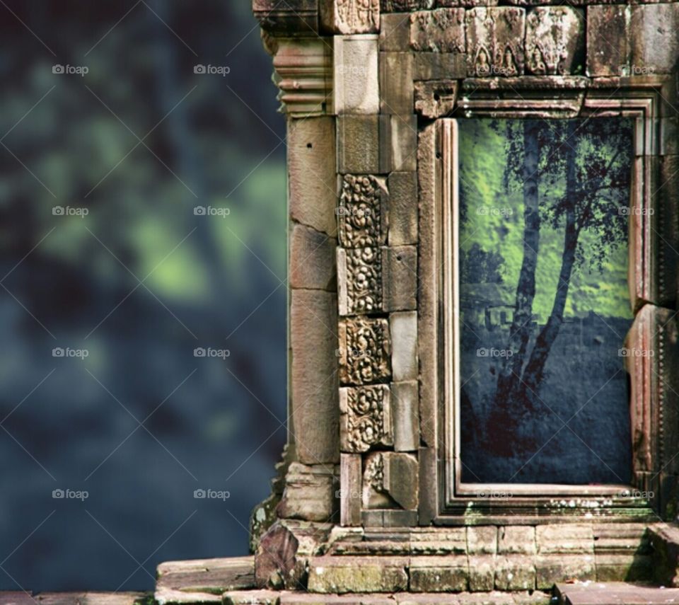 Abstract tree. Use of pipcamera.