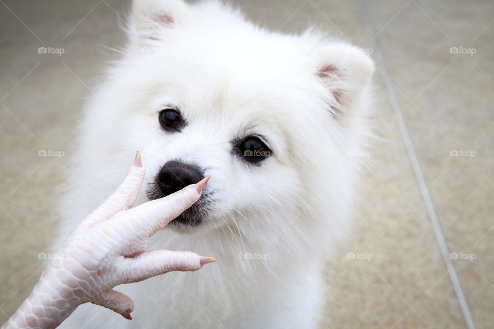 My nails are beautiful