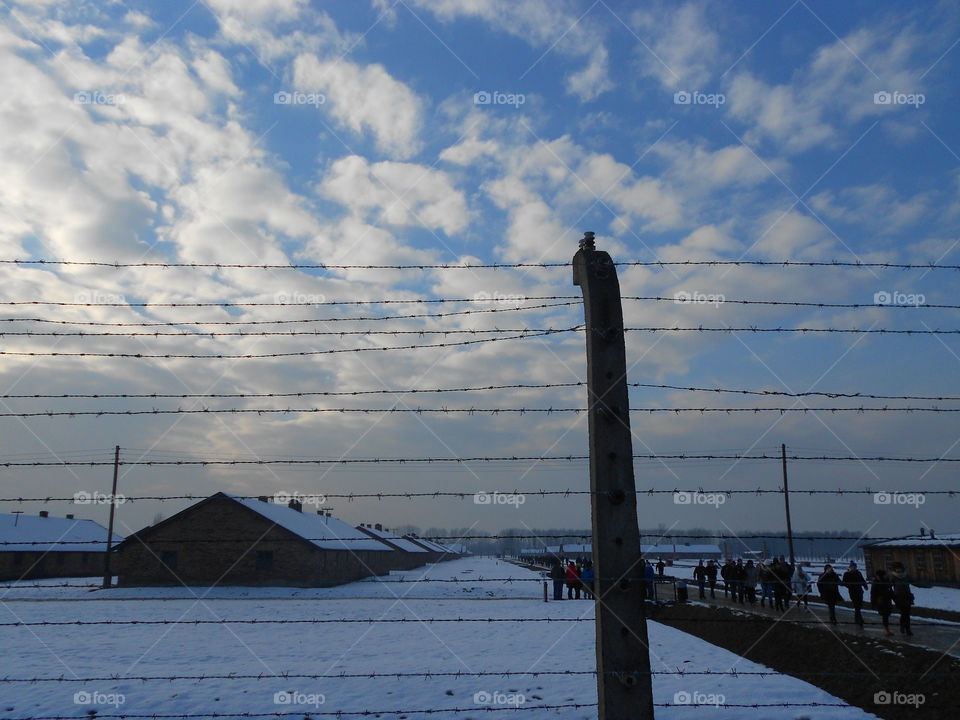 Blue Sky at Auschwitz