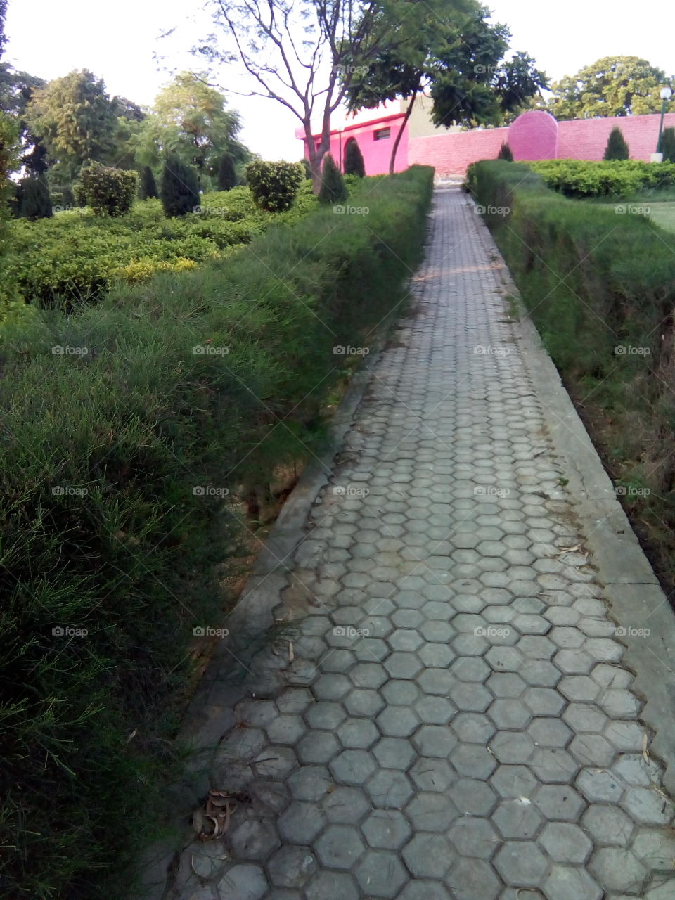 beautiful sight in a garden