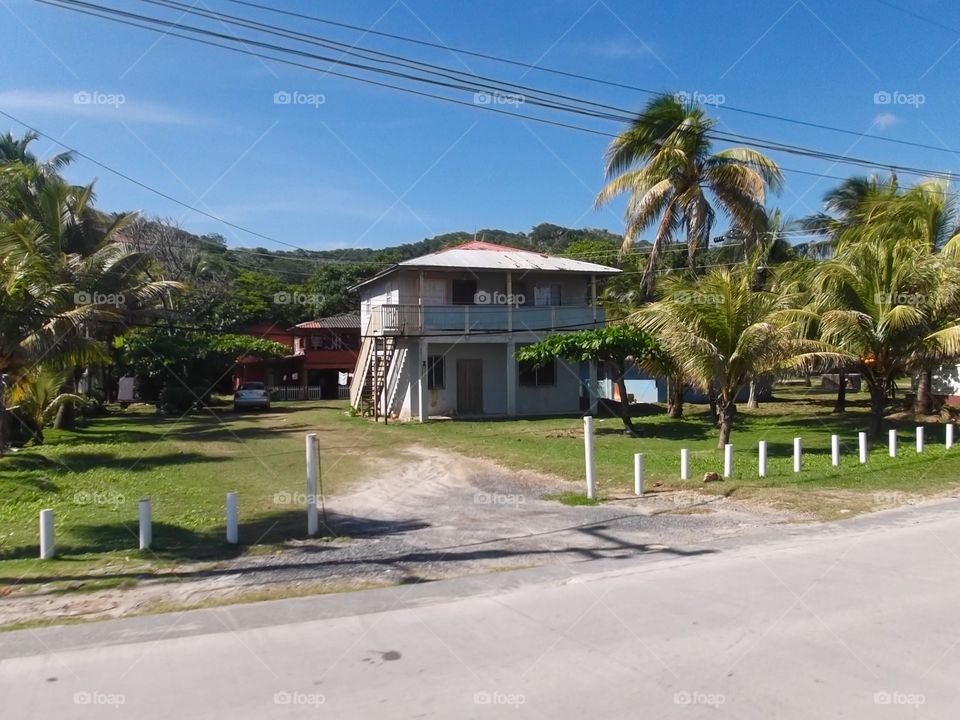 Picture from moving car traveling in Roatan Honduras  