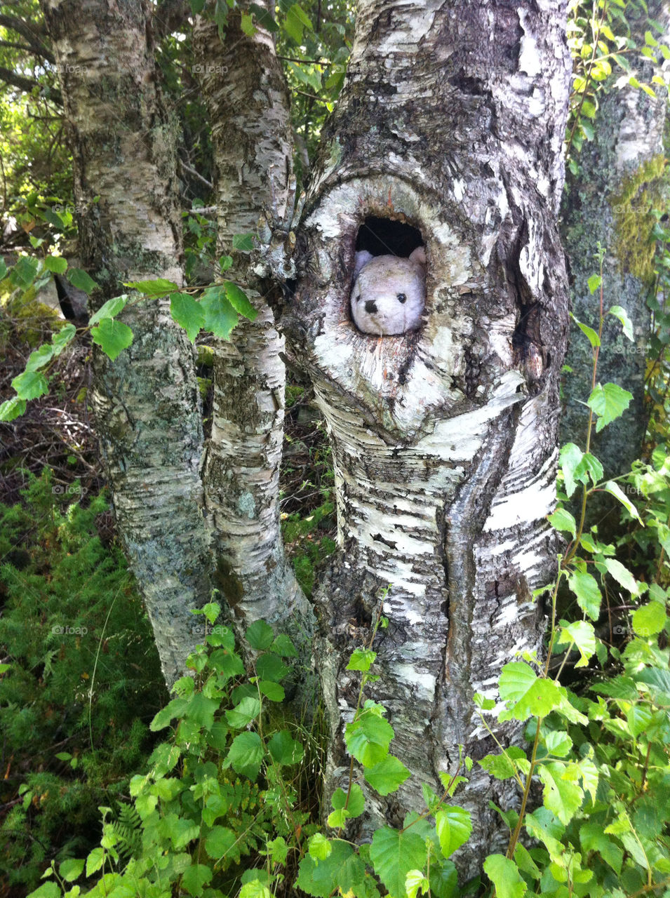 sweden tree woods toy by haq