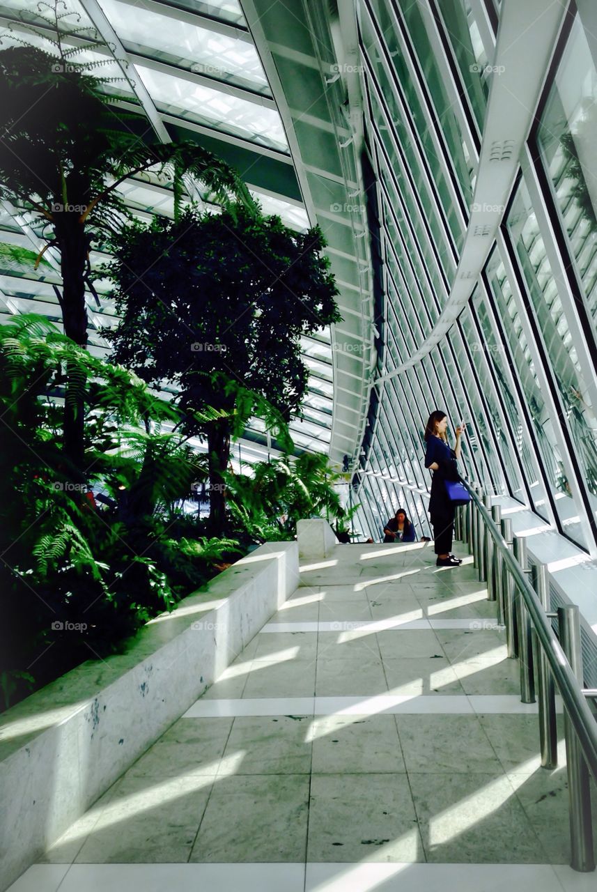 The sky garden. The sky garden 