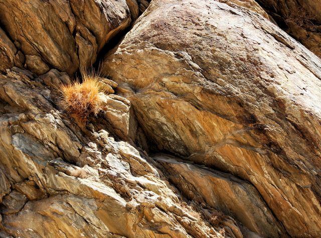 Grass and rock