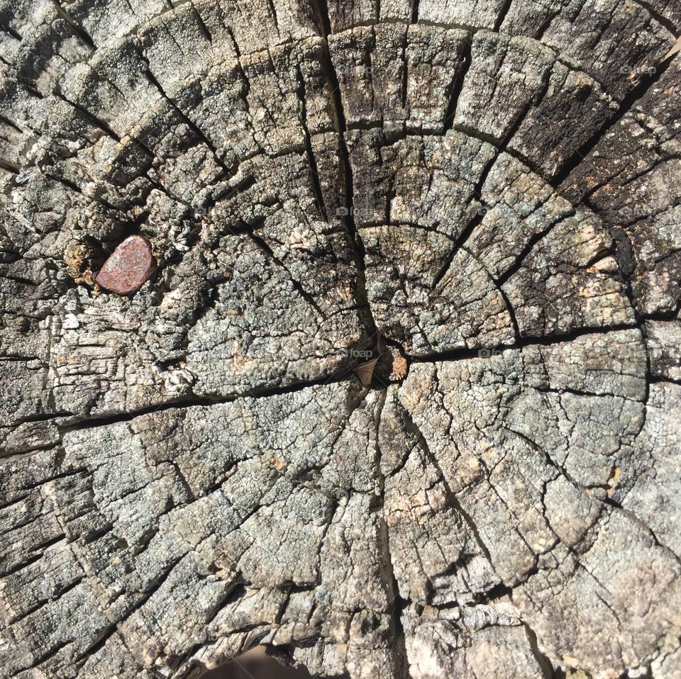 Beautiful wood piece of my porch!