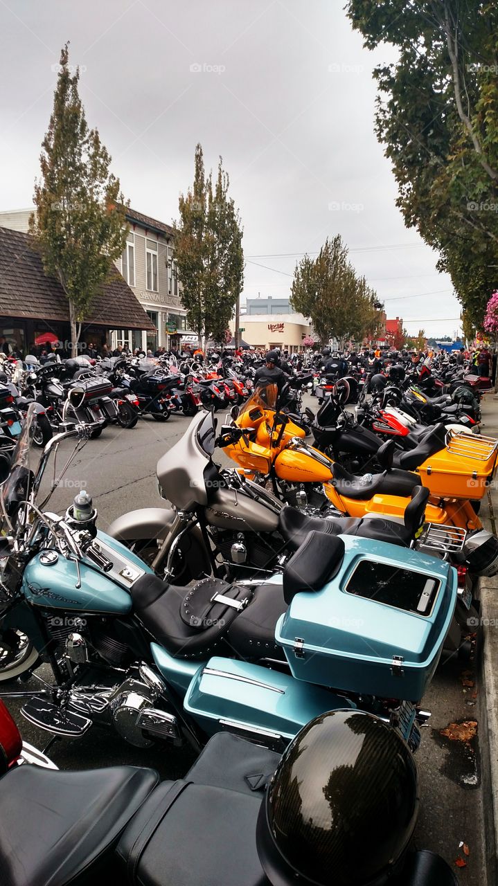 Oyster Run Anacortes Washington