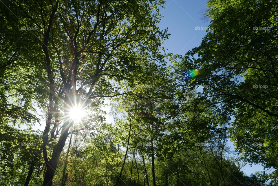 Morning during spring in Antwerp