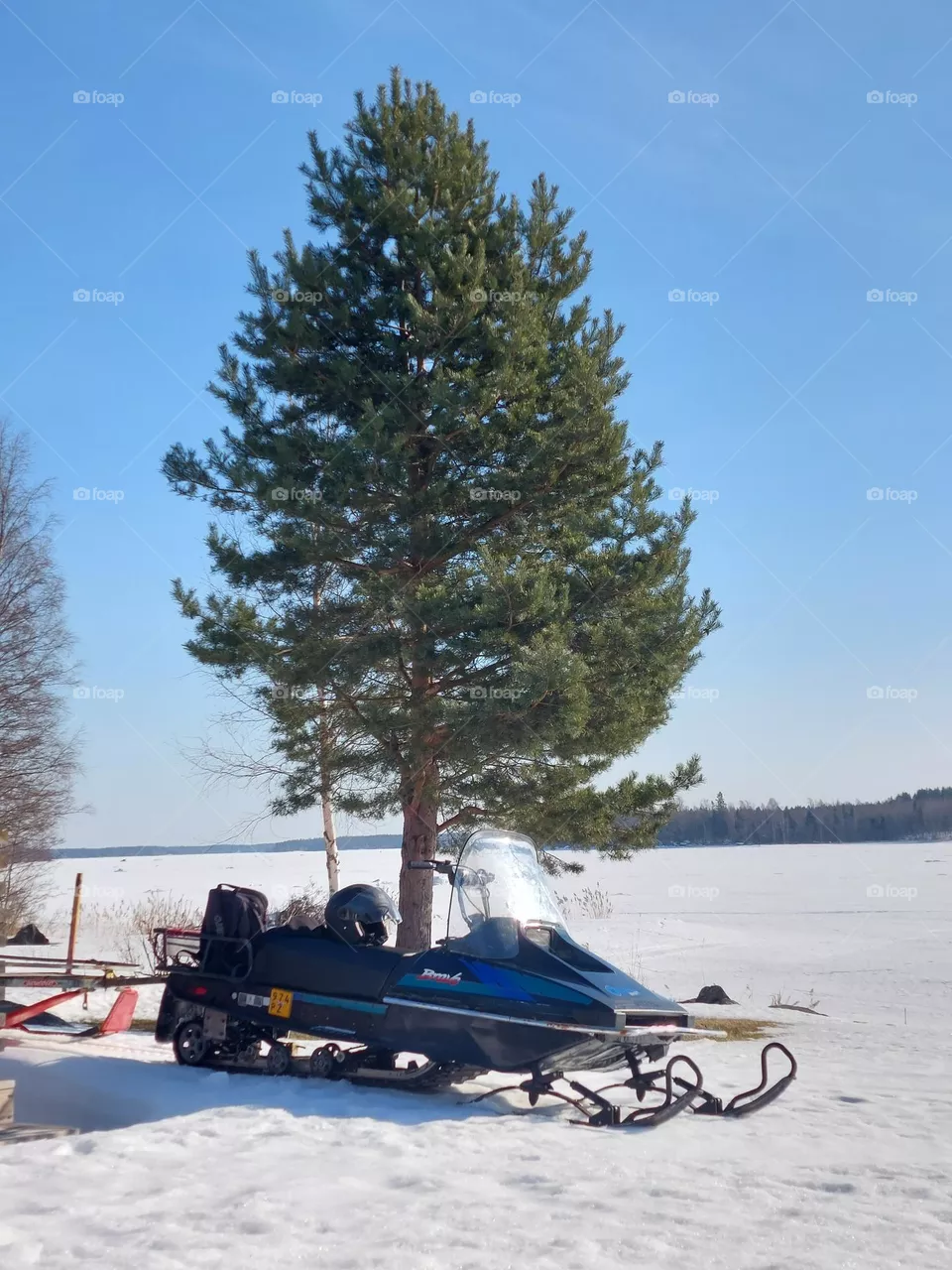 Snowsled