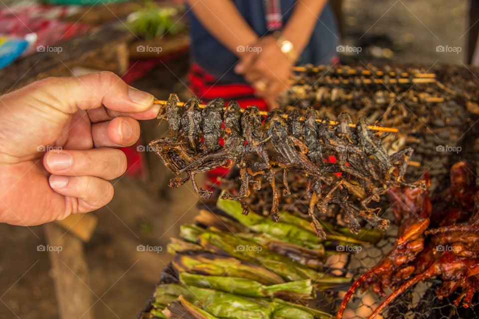 While driving in Cambodia I just had to stop and see what they were selling on the side of the road 