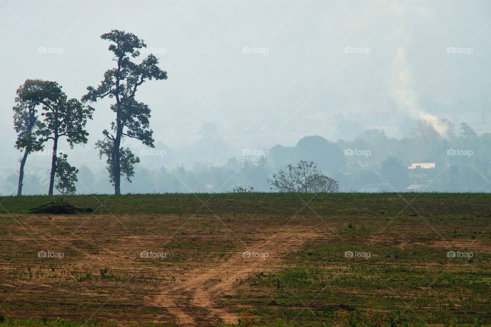 Good atmosphere with the mist in the winter morning in the countryside.  It is refreshing and suitable for relaxation, recharging our lives.