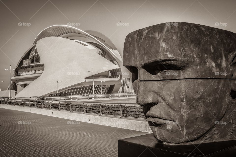 Palacio de las Artes Reina Sofia (Valencia - Spain)