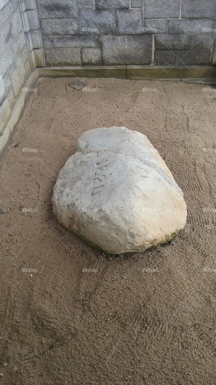 The Impressive Plymouth Rock 1620