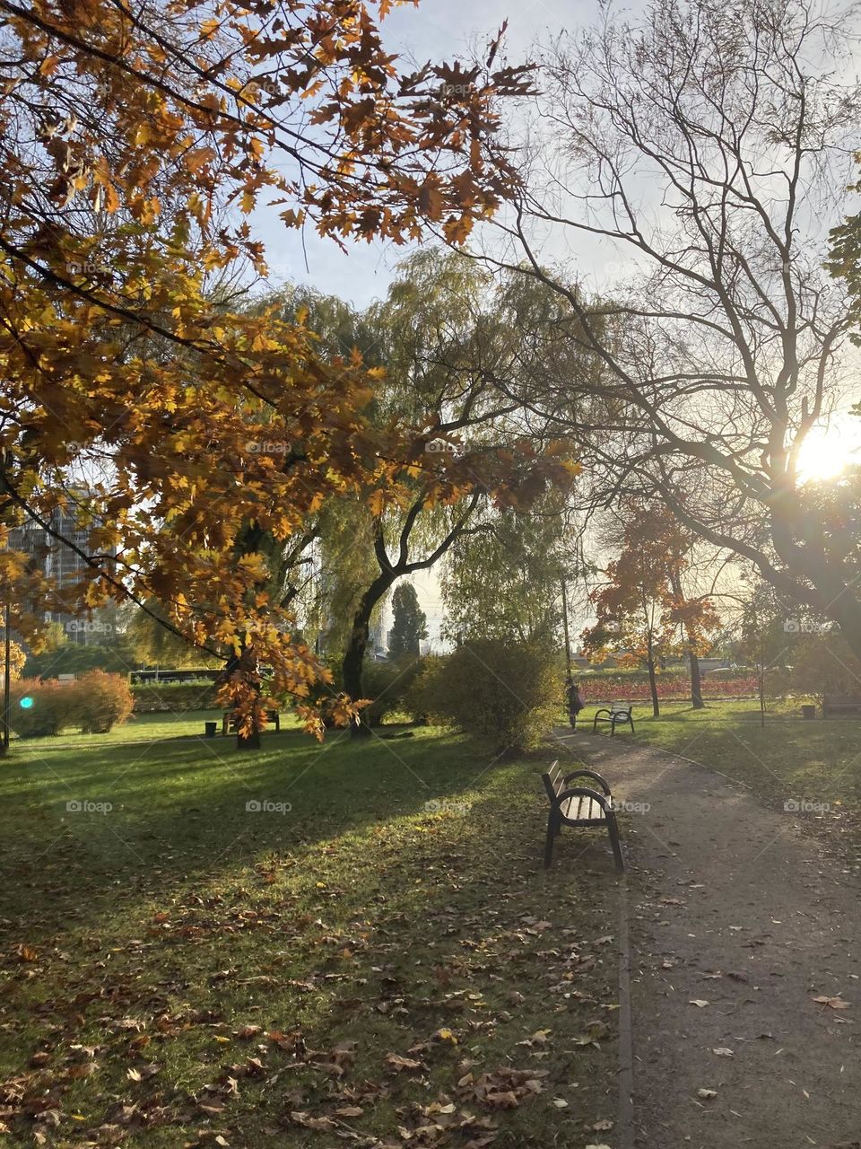 Stroll in the fall photography from sunny day at the park on autumn afternoon 