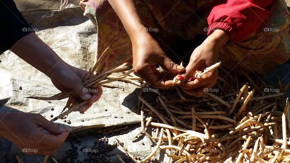 handcraft on seeds like traditional way in Myanmar