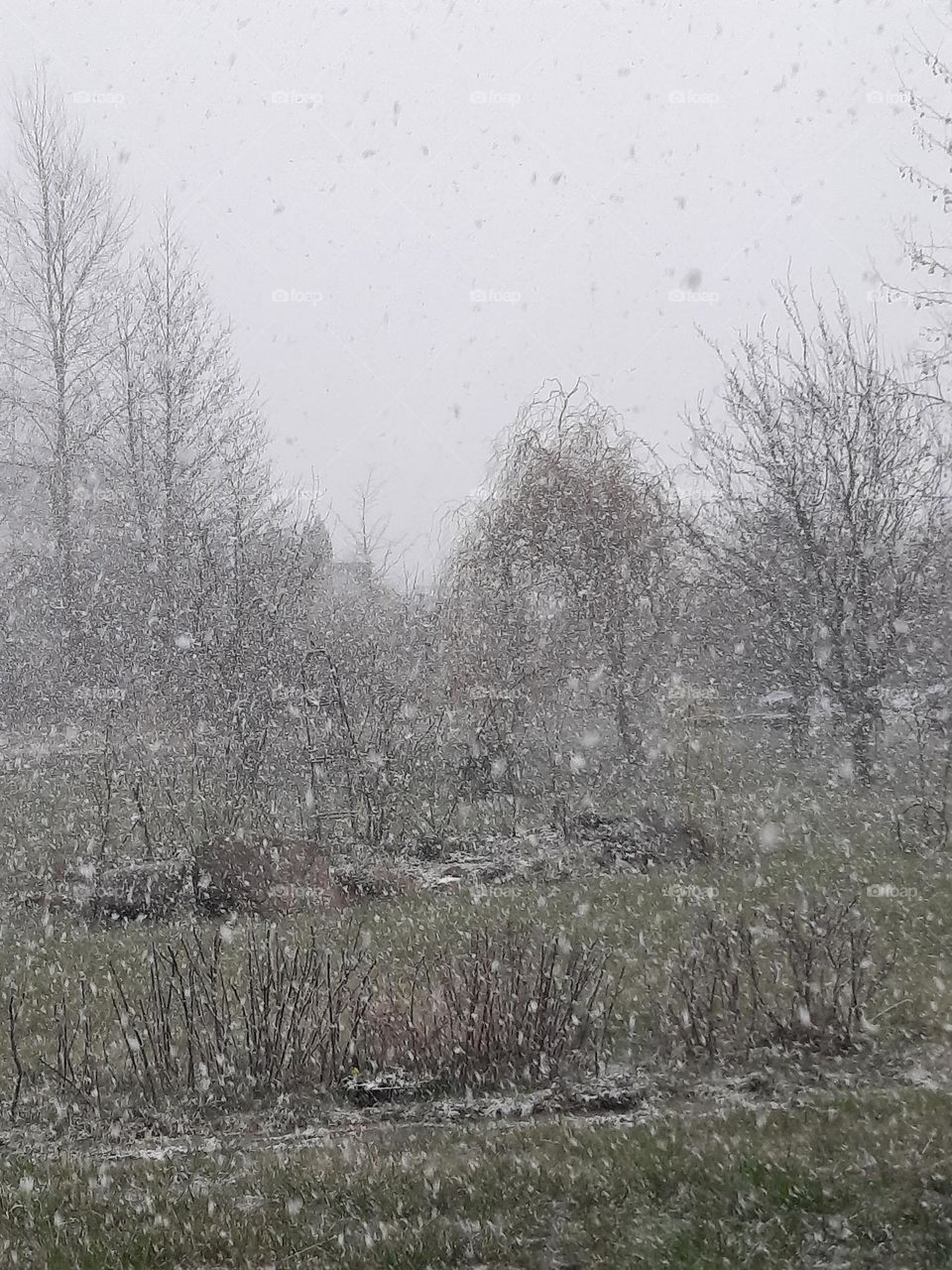 unexpected snowfall in spring