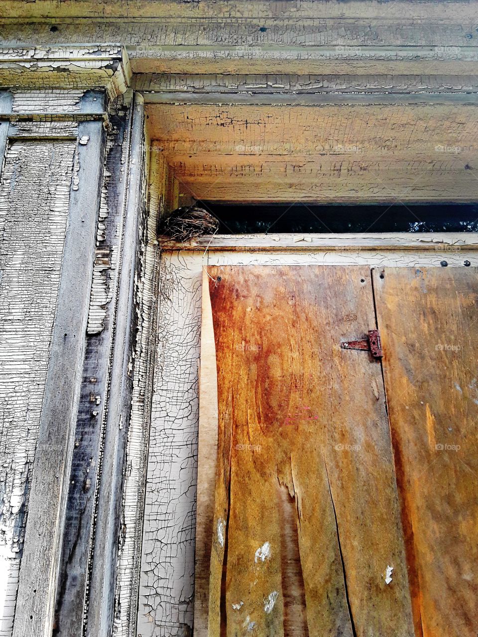 Bird nest above an abandoned doorway