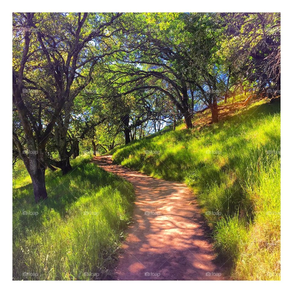 The path least taken